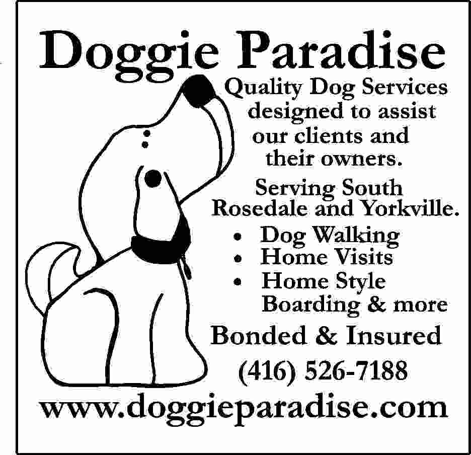 Doggie Paradise is up and running (and running , and running...) But we